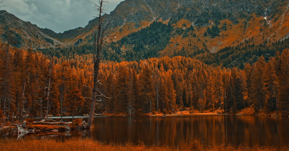 What to Avoid When Buying a Mirrored Wardrobe